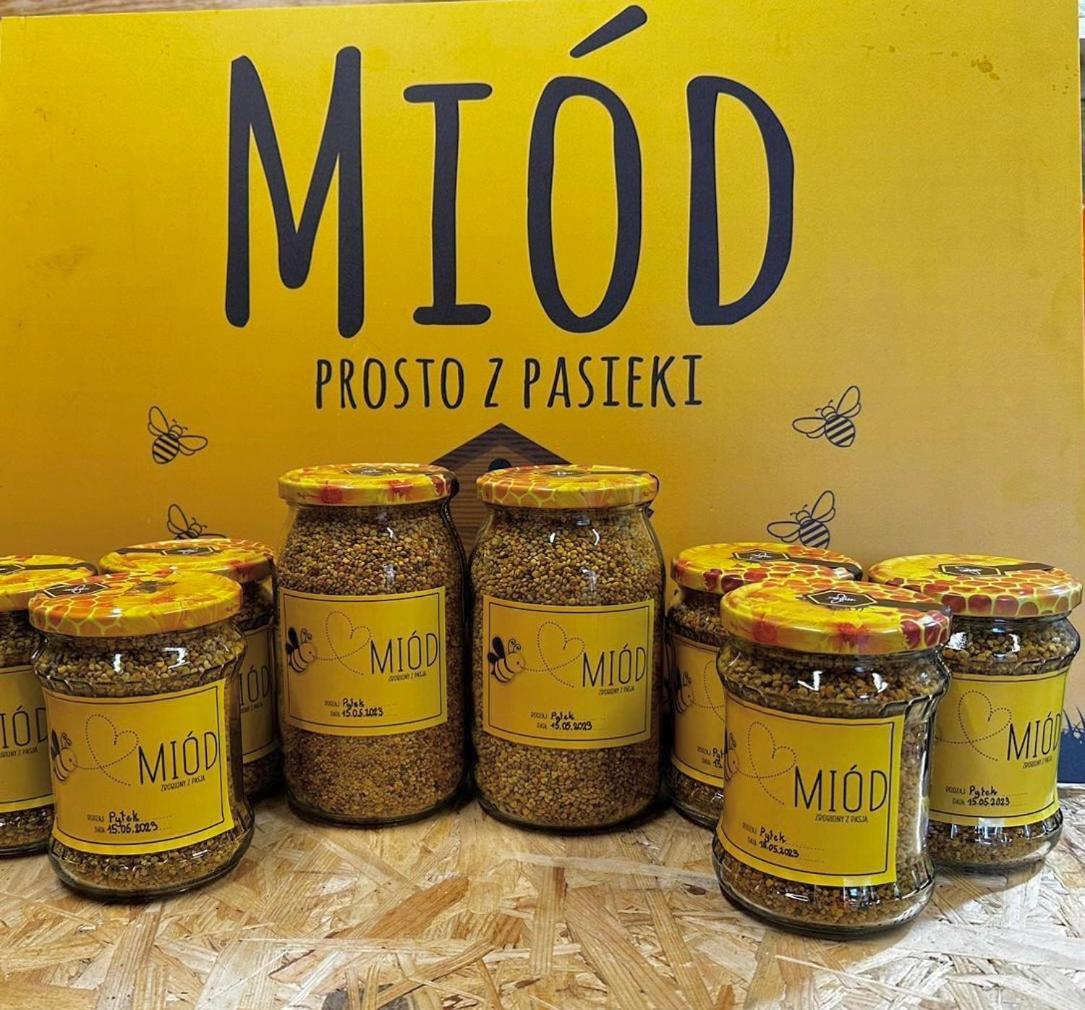 Swietajno Kokolinko- Dom Caloroczny Na Mazurach别墅 外观 照片